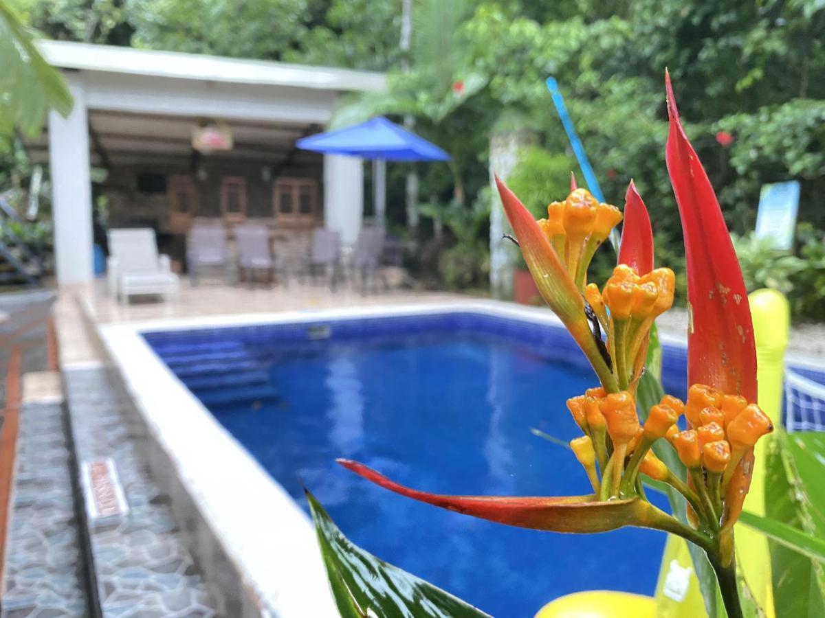 La Posada Jungle Hotel Vườn quốc gia Vườn quốc gia Manuel Antonio Ngoại thất bức ảnh