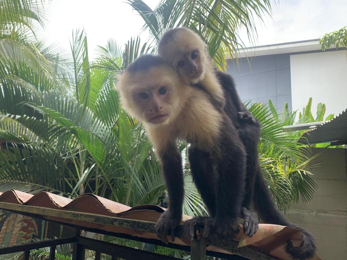 La Posada Jungle Hotel Vườn quốc gia Vườn quốc gia Manuel Antonio Ngoại thất bức ảnh