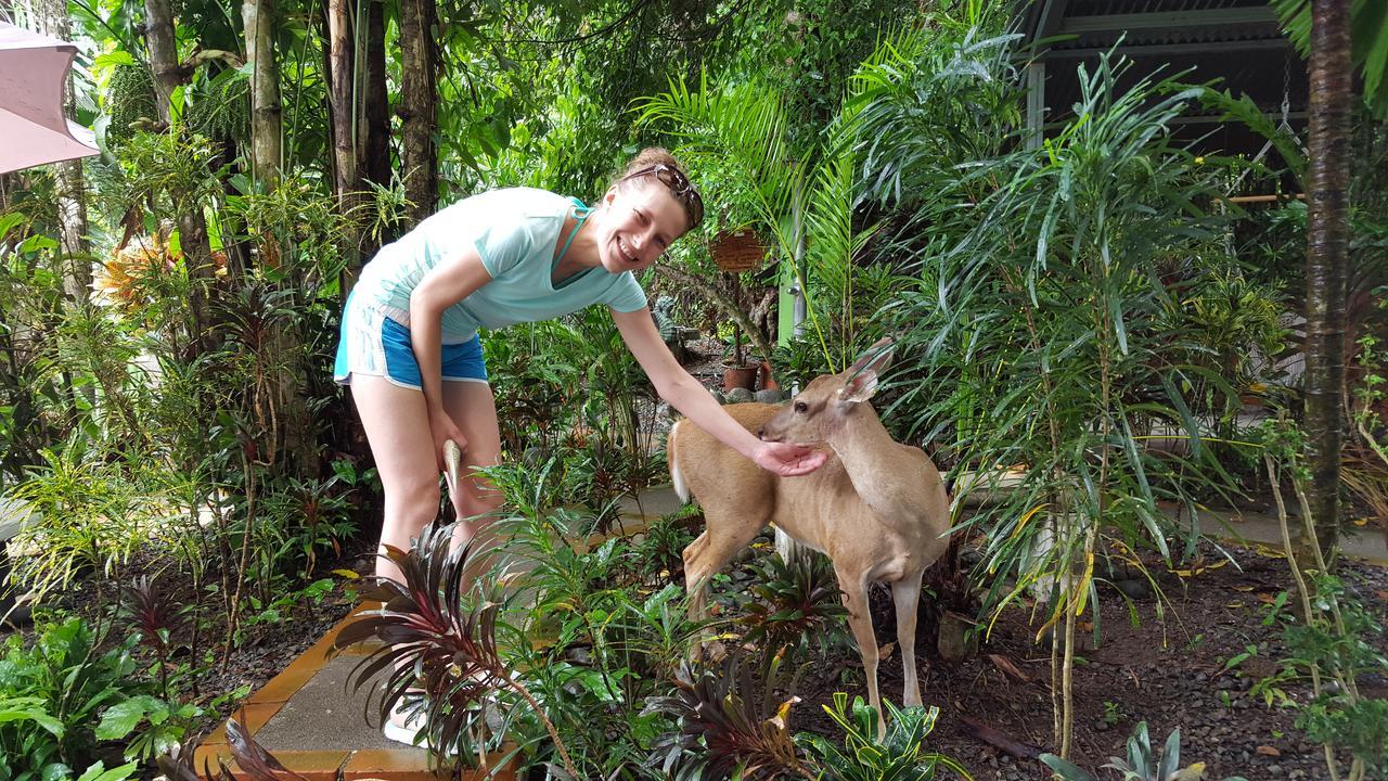 La Posada Jungle Hotel Vườn quốc gia Vườn quốc gia Manuel Antonio Ngoại thất bức ảnh