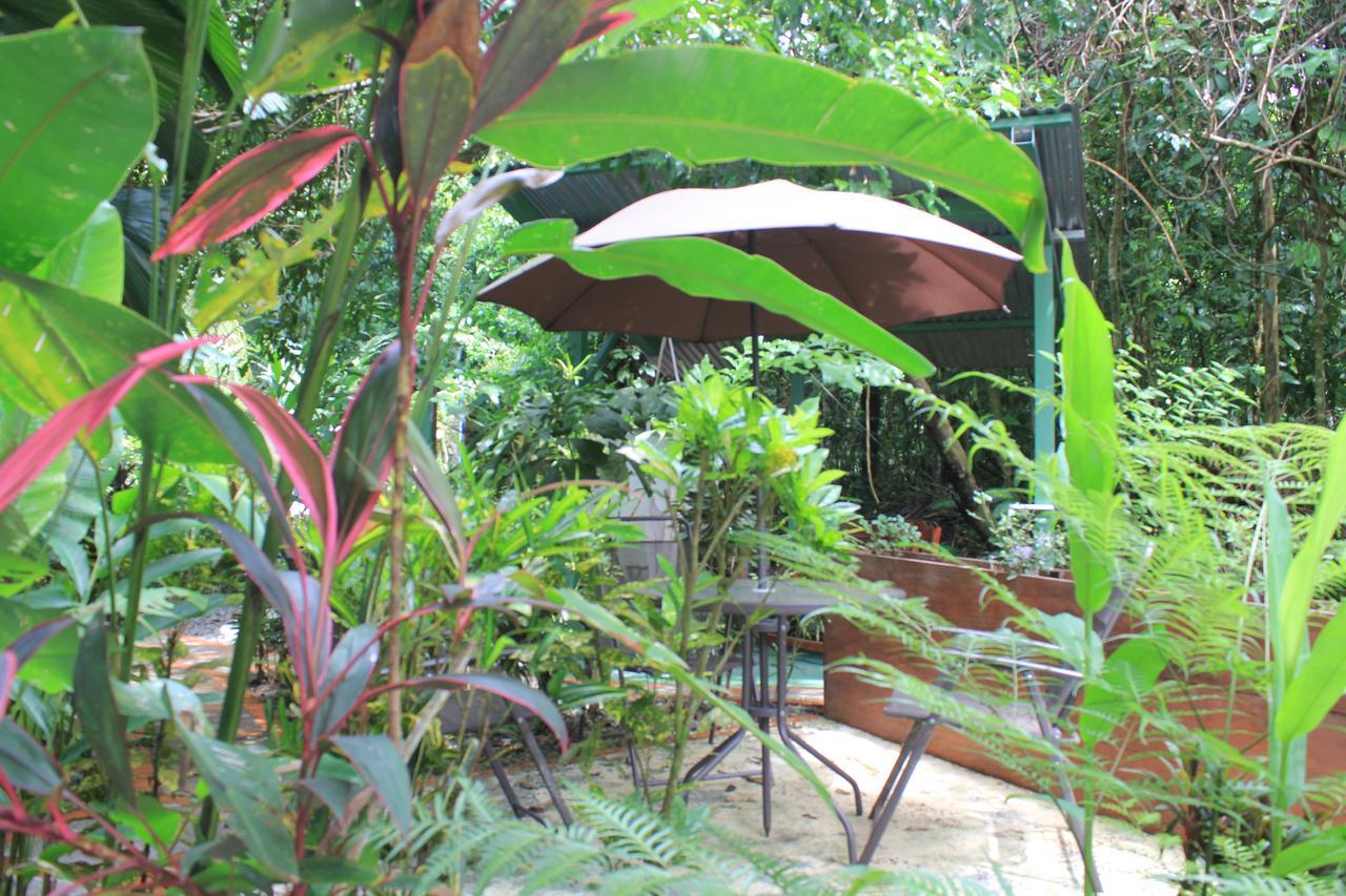 La Posada Jungle Hotel Vườn quốc gia Vườn quốc gia Manuel Antonio Ngoại thất bức ảnh