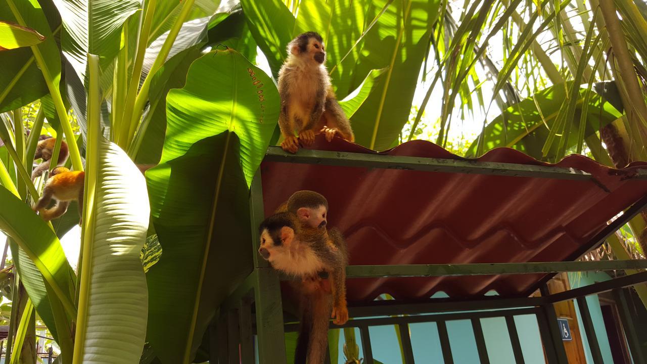 La Posada Jungle Hotel Vườn quốc gia Vườn quốc gia Manuel Antonio Ngoại thất bức ảnh