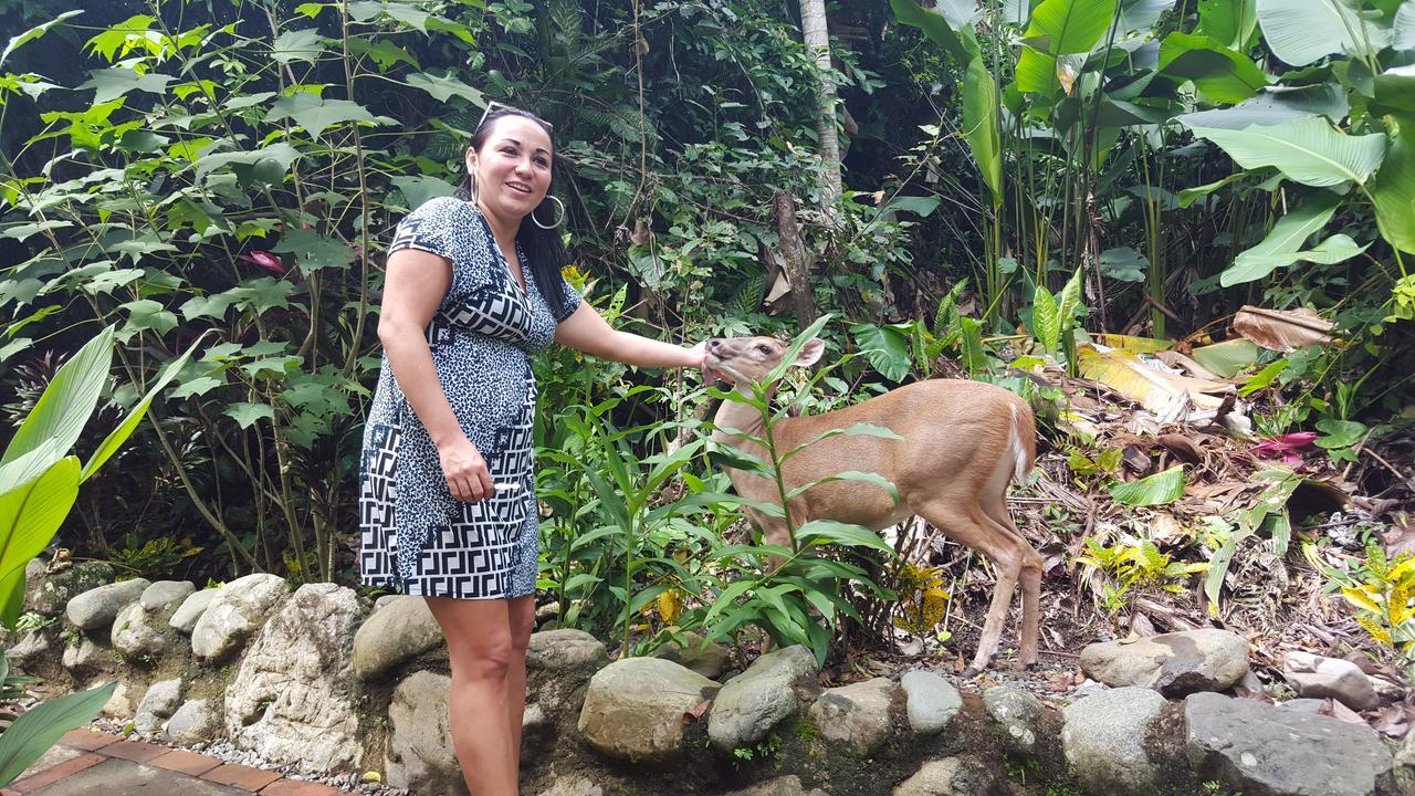 La Posada Jungle Hotel Vườn quốc gia Vườn quốc gia Manuel Antonio Ngoại thất bức ảnh